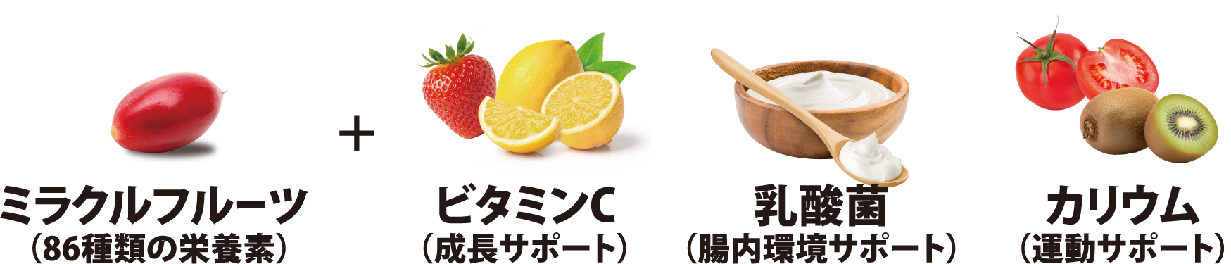 ミラクルフルーツ、ビタミンC、乳酸菌、カリウムの組み合わせ